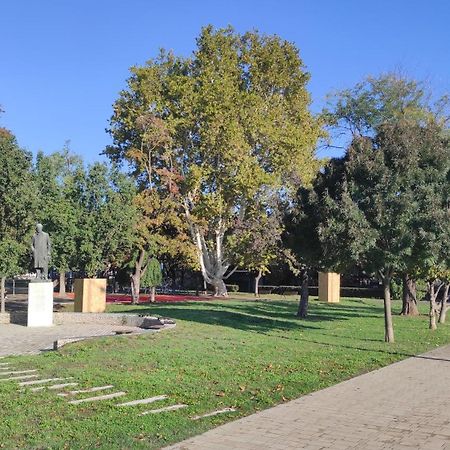 Nature In The City Lower Storey Bestern Szeged Bagian luar foto