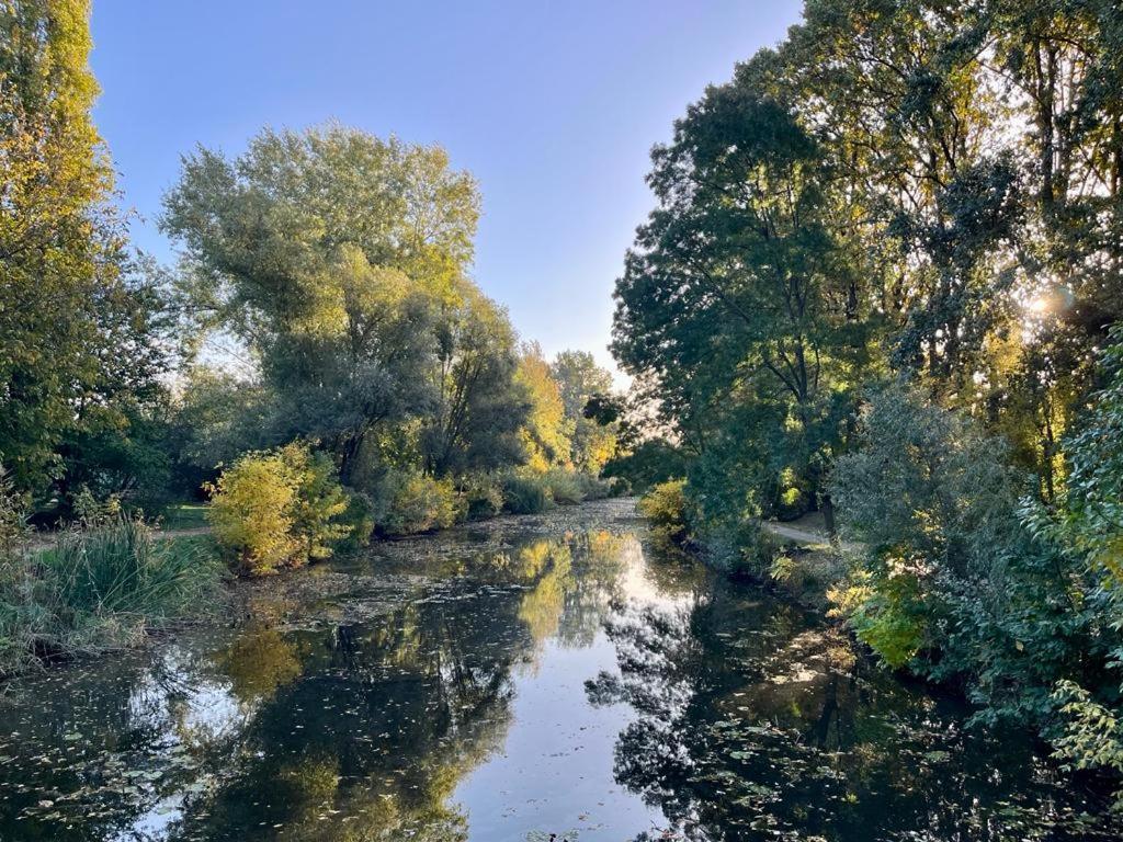 Nature In The City Lower Storey Bestern Szeged Bagian luar foto